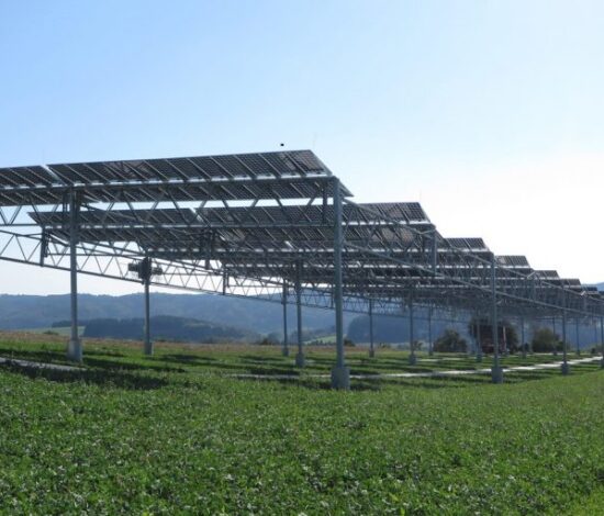 Agrophotovoltaic