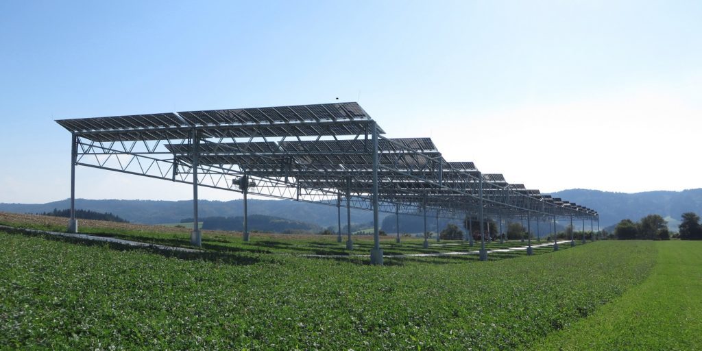 Agrophotovoltaic